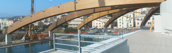 Esperienza professionale TimberStruct